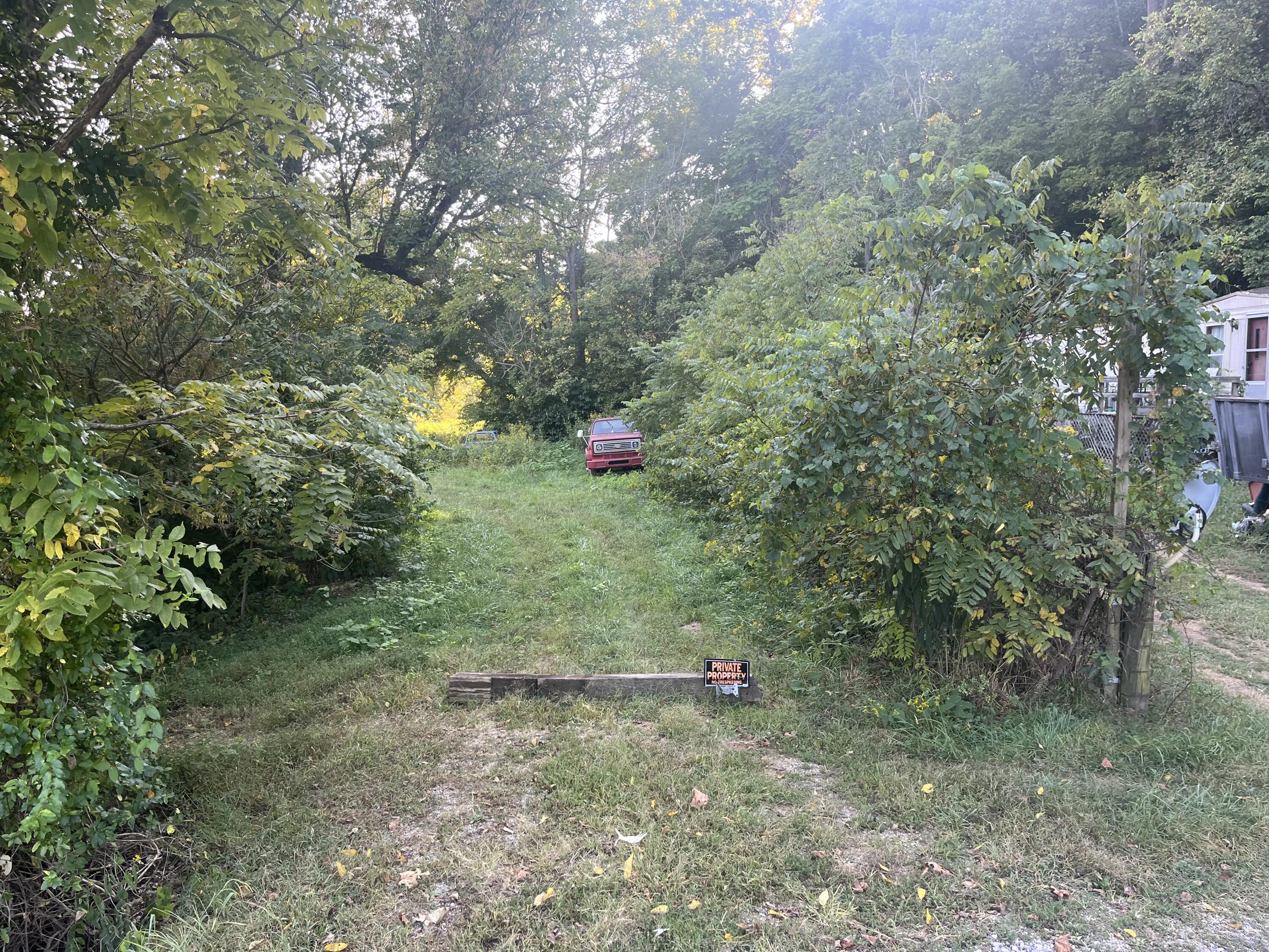 229 Mt Joy Road Buchanan, VA 24066 - Photo 5 of 11 a view of a forest