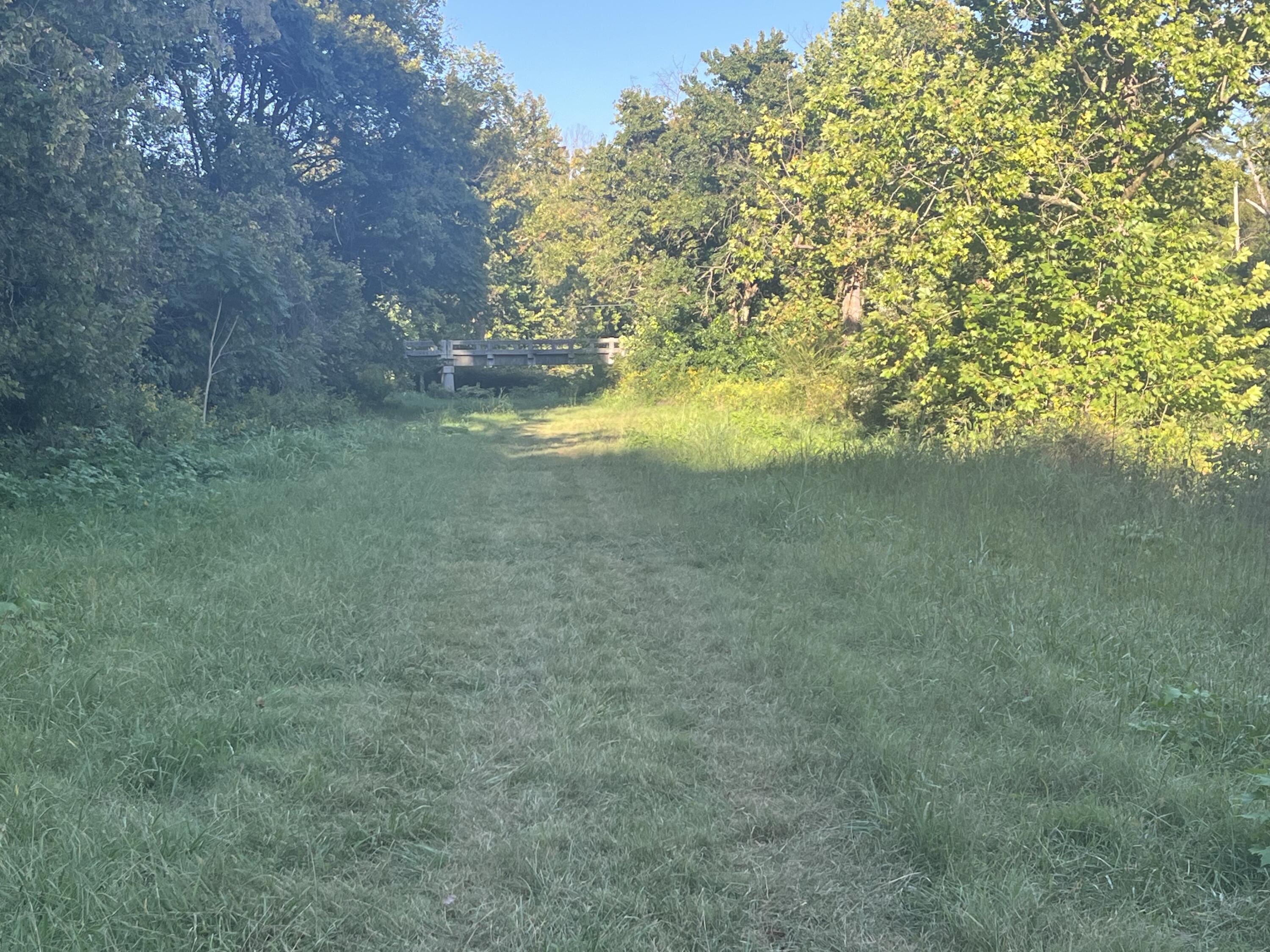 229 Mt Joy Road Buchanan, VA 24066 - Photo 6 of 11 a view of yard with green space and trees all around