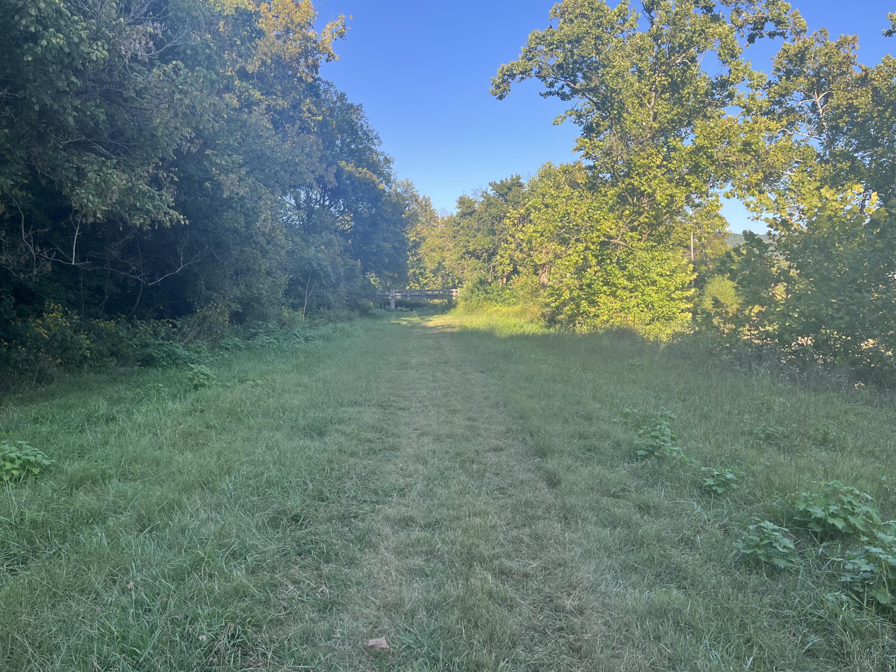 229 Mt Joy Road Buchanan, VA 24066 - Photo 7 of 11 a view of a trees with a yard