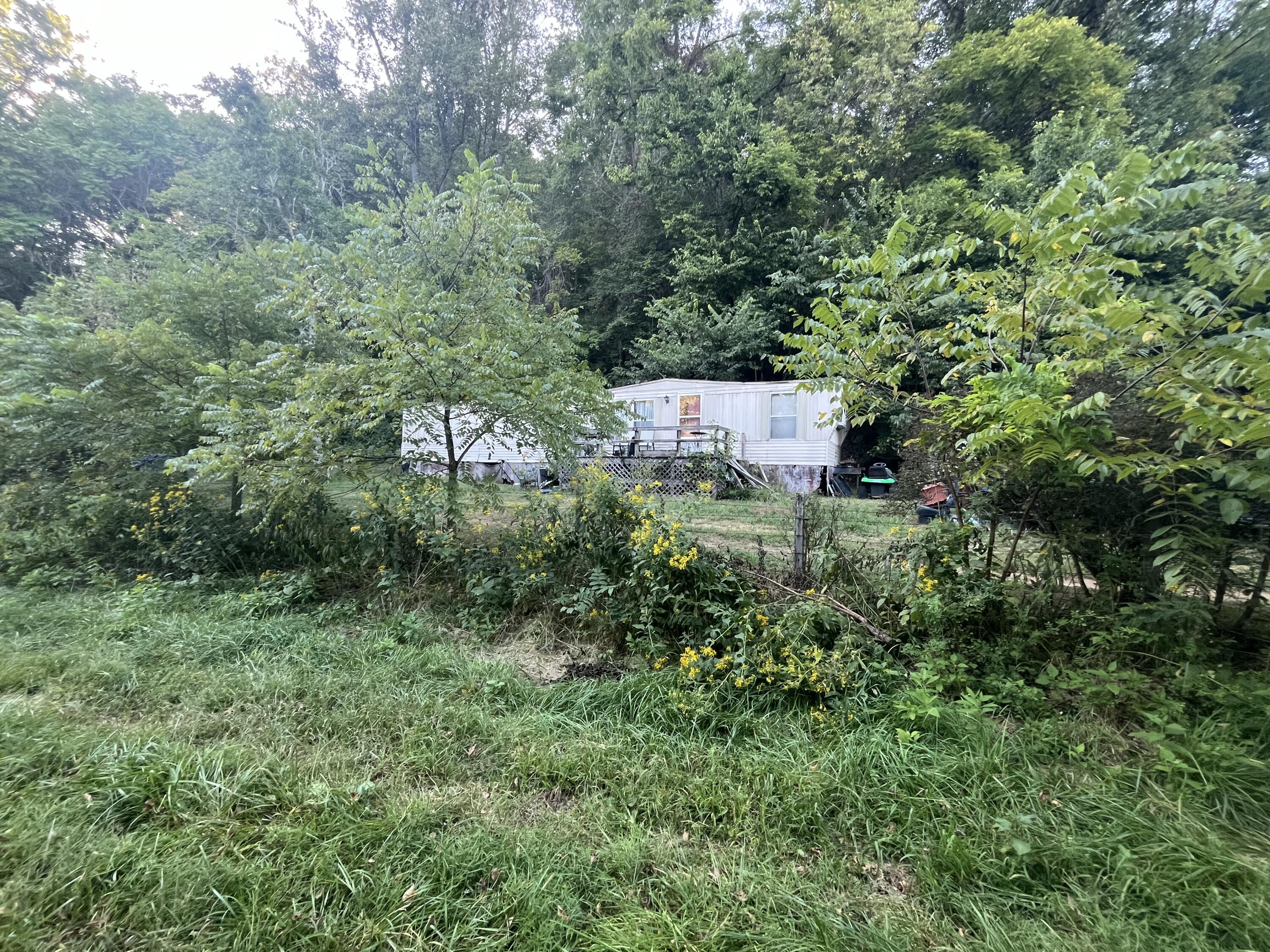 229 Mt Joy Road Buchanan, VA 24066 - Photo 8 of 11 an aerial view of a house with a yard