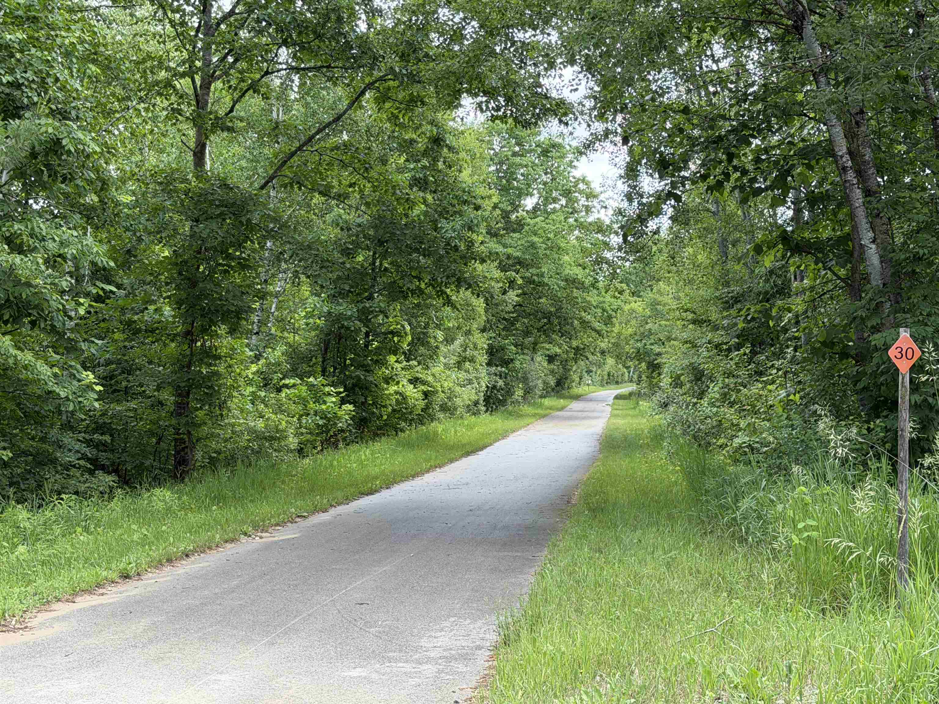5131 Washington Road Lake, MI 48632 - Photo 43 of 43