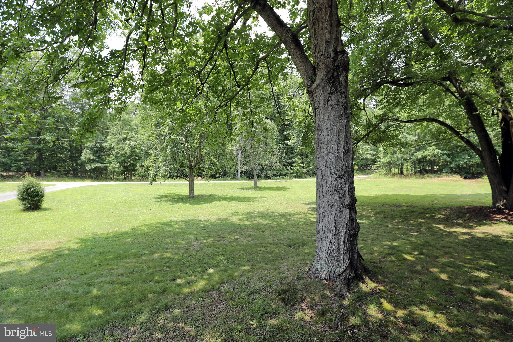 10901 Cross Rd Trail Brandywine, MD 20613 - Photo 48 of 50 View from front door