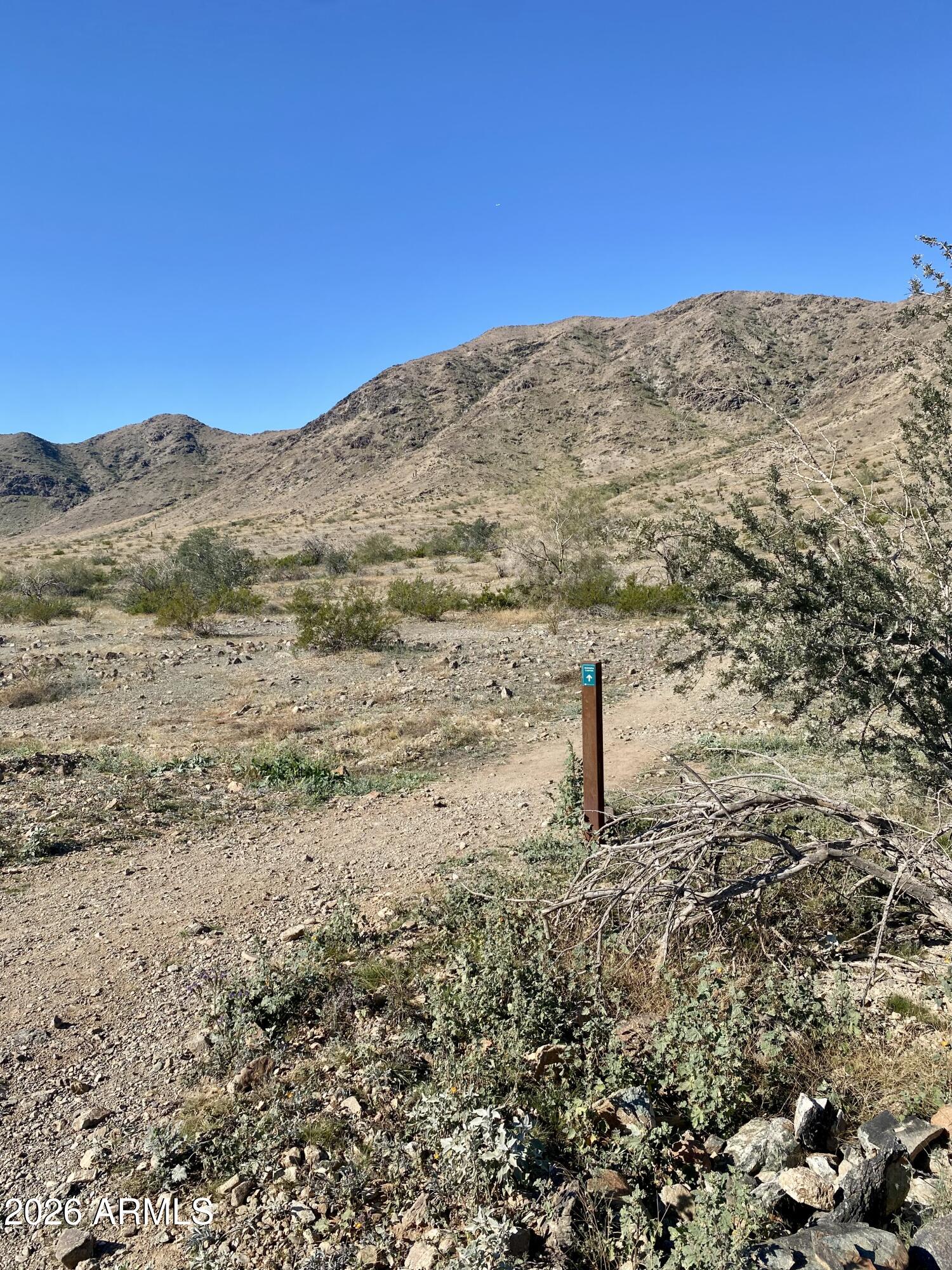 1622 West Nighthawk Way Phoenix, AZ 85045 - Photo 64 of 70 a view of a field with an trees in the background
