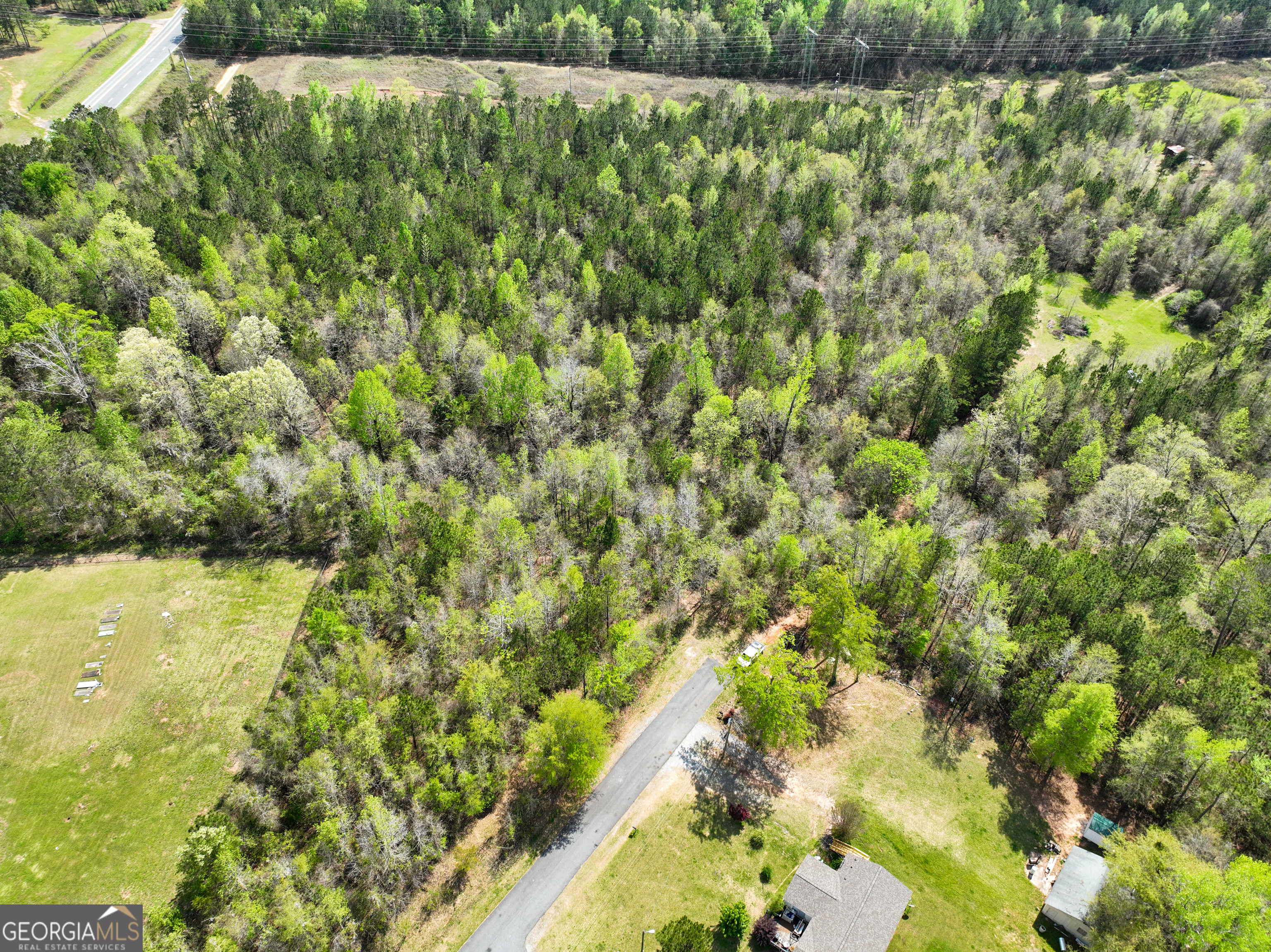 0 Highway 80 Dry Branch, Unit LOT #2 Dry Branch, GA 31020 - Photo 3 of 7