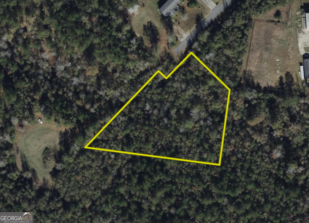 0 Highway 80 Dry Branch, Unit LOT #2 Dry Branch, GA 31020 - Photo 5 of 7