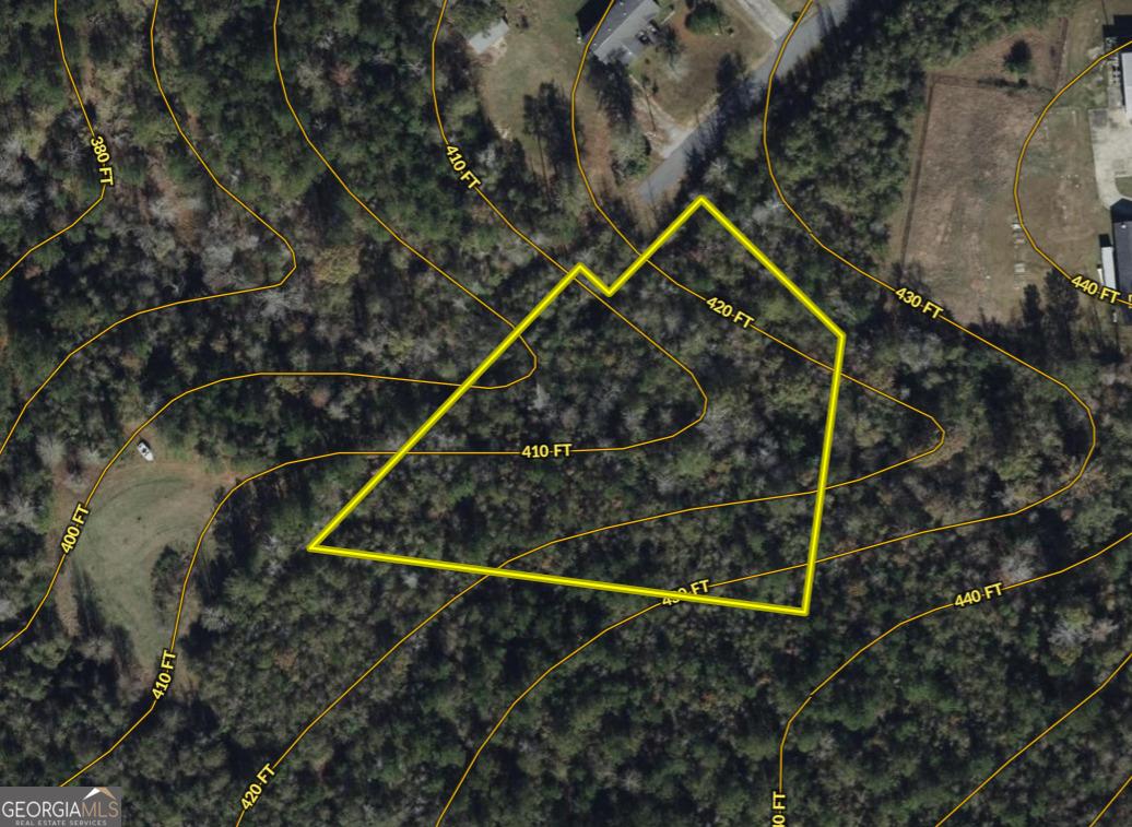 0 Highway 80 Dry Branch, Unit LOT #2 Dry Branch, GA 31020 - Photo 6 of 7