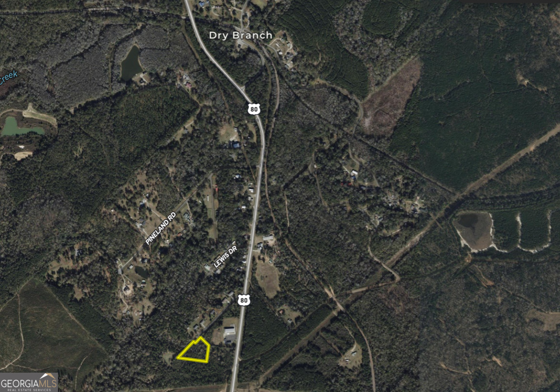 0 Highway 80 Dry Branch, Unit LOT #2 Dry Branch, GA 31020 - Photo 7 of 7