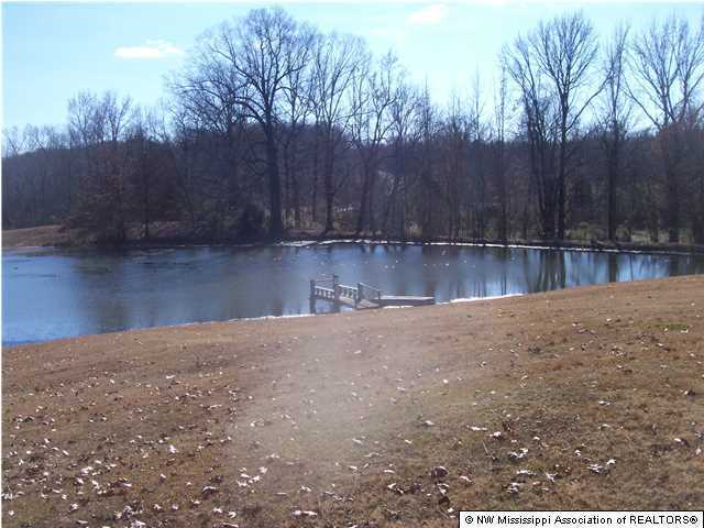 150 Longtown Road Sarah, MS 38665 - Photo 2 of 12 Additional Photo