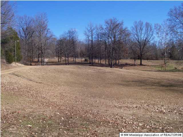 150 Longtown Road Sarah, MS 38665 - Photo 3 of 12 Additional Photo