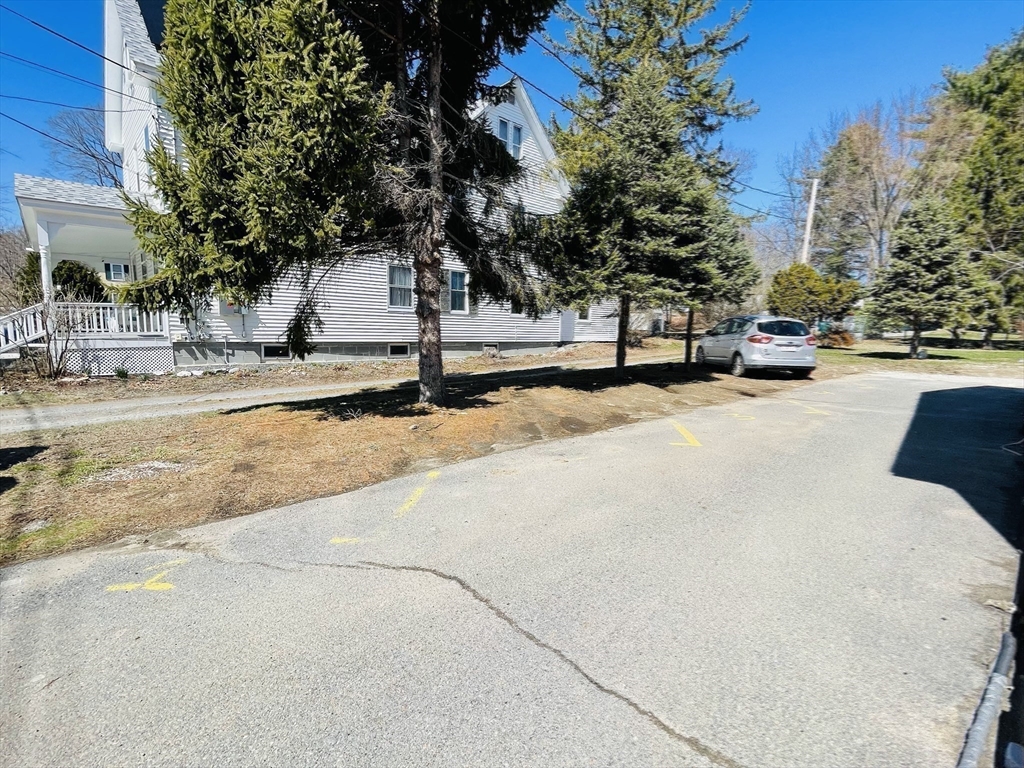 92 Mill Street Lancaster, MA 01523 - Photo 21 of 26 a row of palm trees sitting in a yard