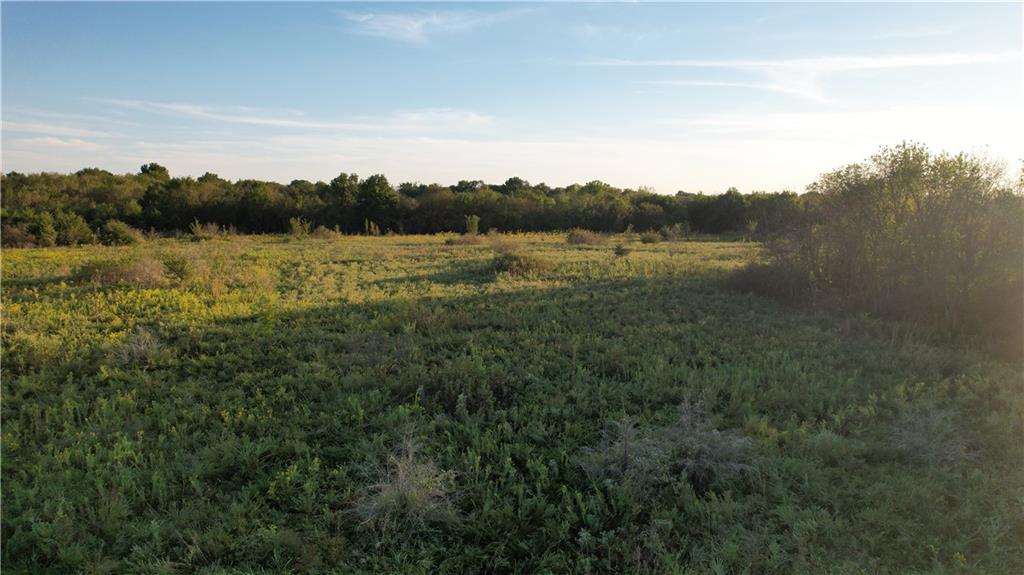 890 Northwest 100th Road Liberal, MO 64762 - Photo 5 of 15 Gallery Image 5
