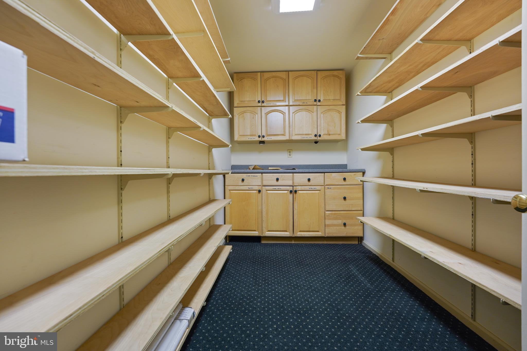 812 Scholl Road Pottstown, PA 19465 - Photo 33 of 42 Built in Storage (Basement)