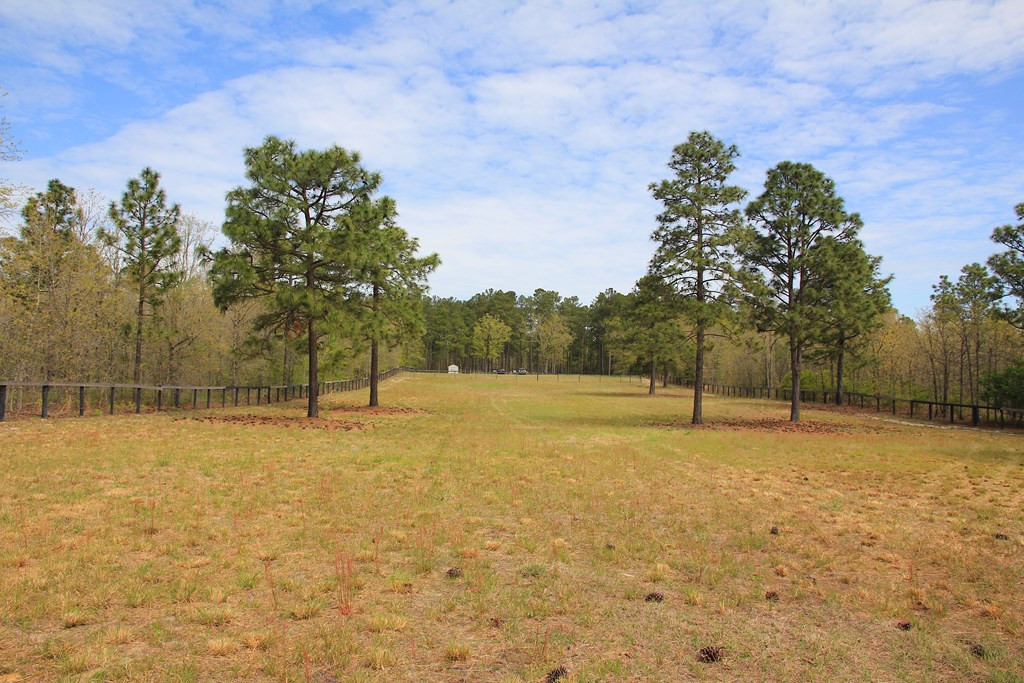 128 Pearl Bonnett Road Windsor, SC 29856 - Photo 5 of 8