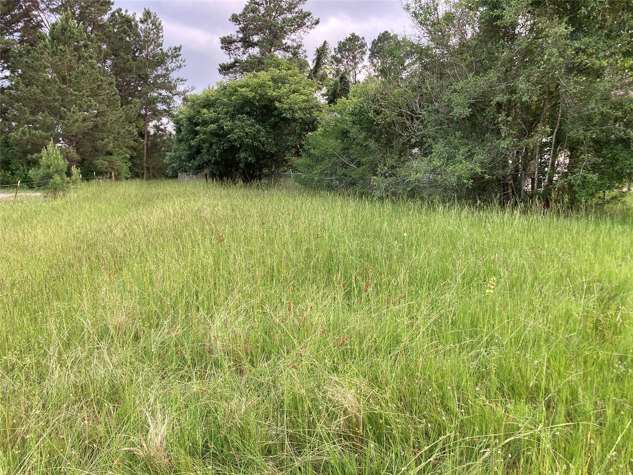 1301 Harding Street Wichita Falls, TX 76301 - Photo 12 of 20