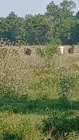 $82,500 | 1301 Harding Street, Wichita Falls, TX 76301