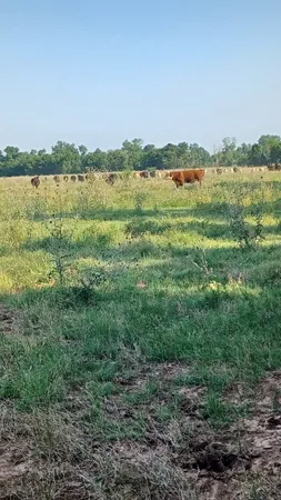 $82,500 | 1301 Harding Street, Wichita Falls, TX 76301