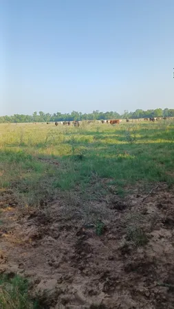 $82,500 | 1301 Harding Street, Wichita Falls, TX 76301
