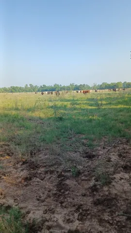 $82,500 | 1301 Harding Street, Wichita Falls, TX 76301