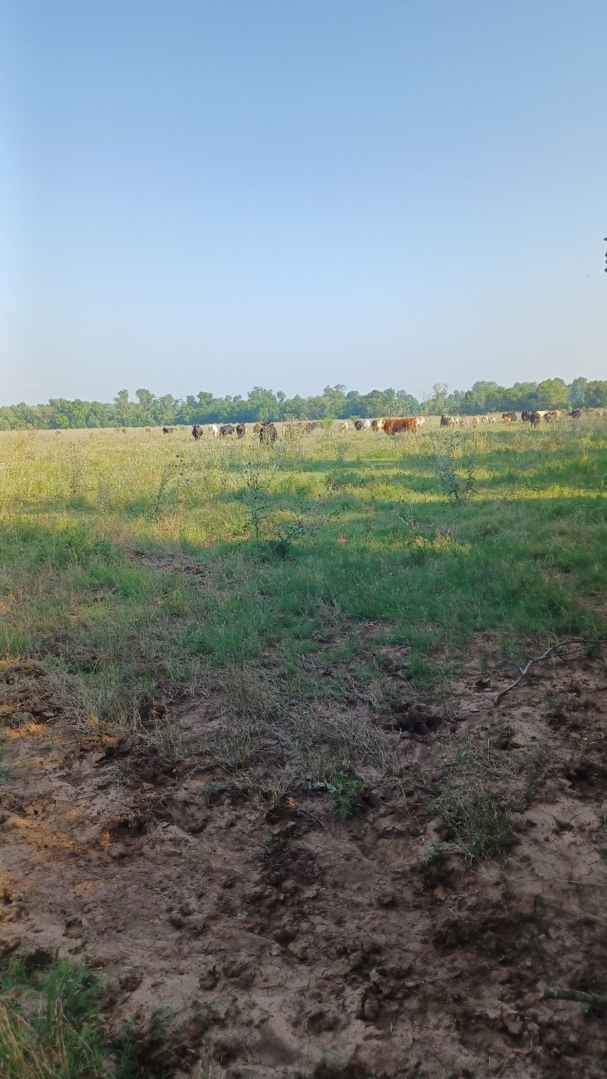 1301 Harding Street Wichita Falls, TX 76301 - Photo 20 of 20
