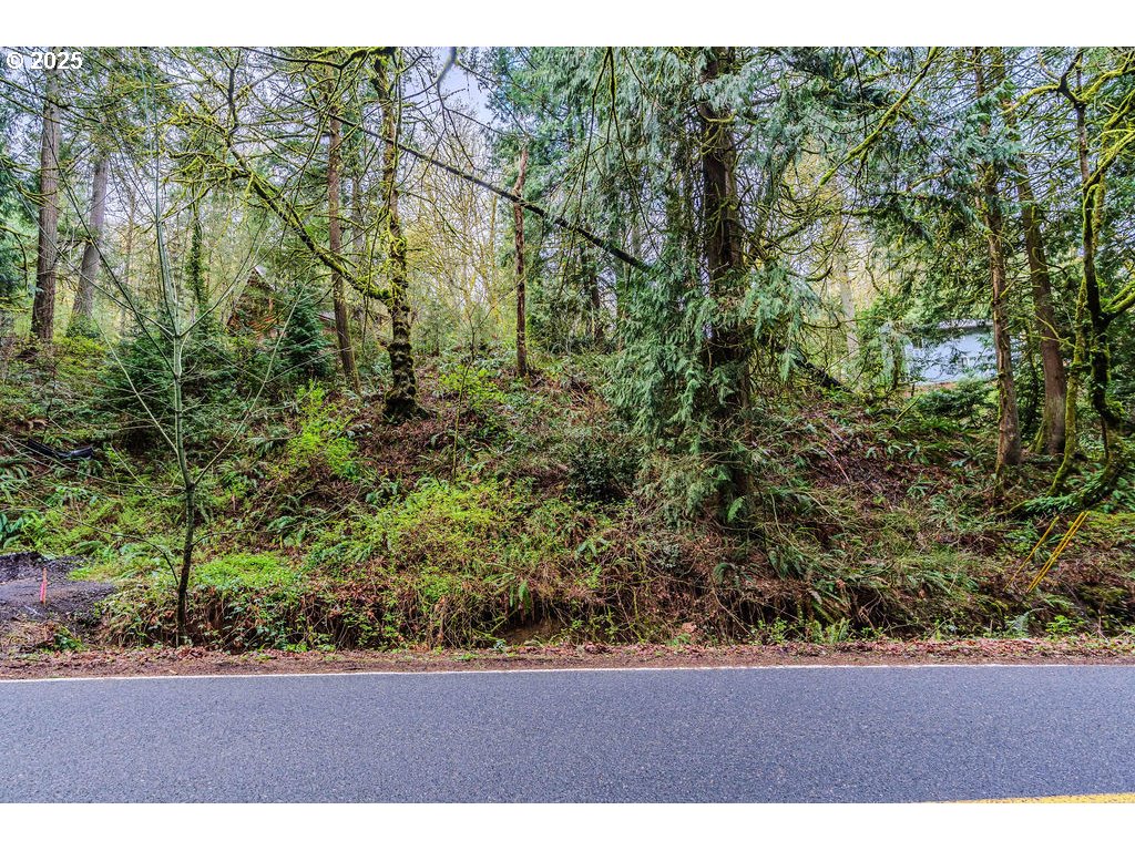6933 Southeast Barbara Welch Road Portland, OR 97236 - Photo 8 of 18