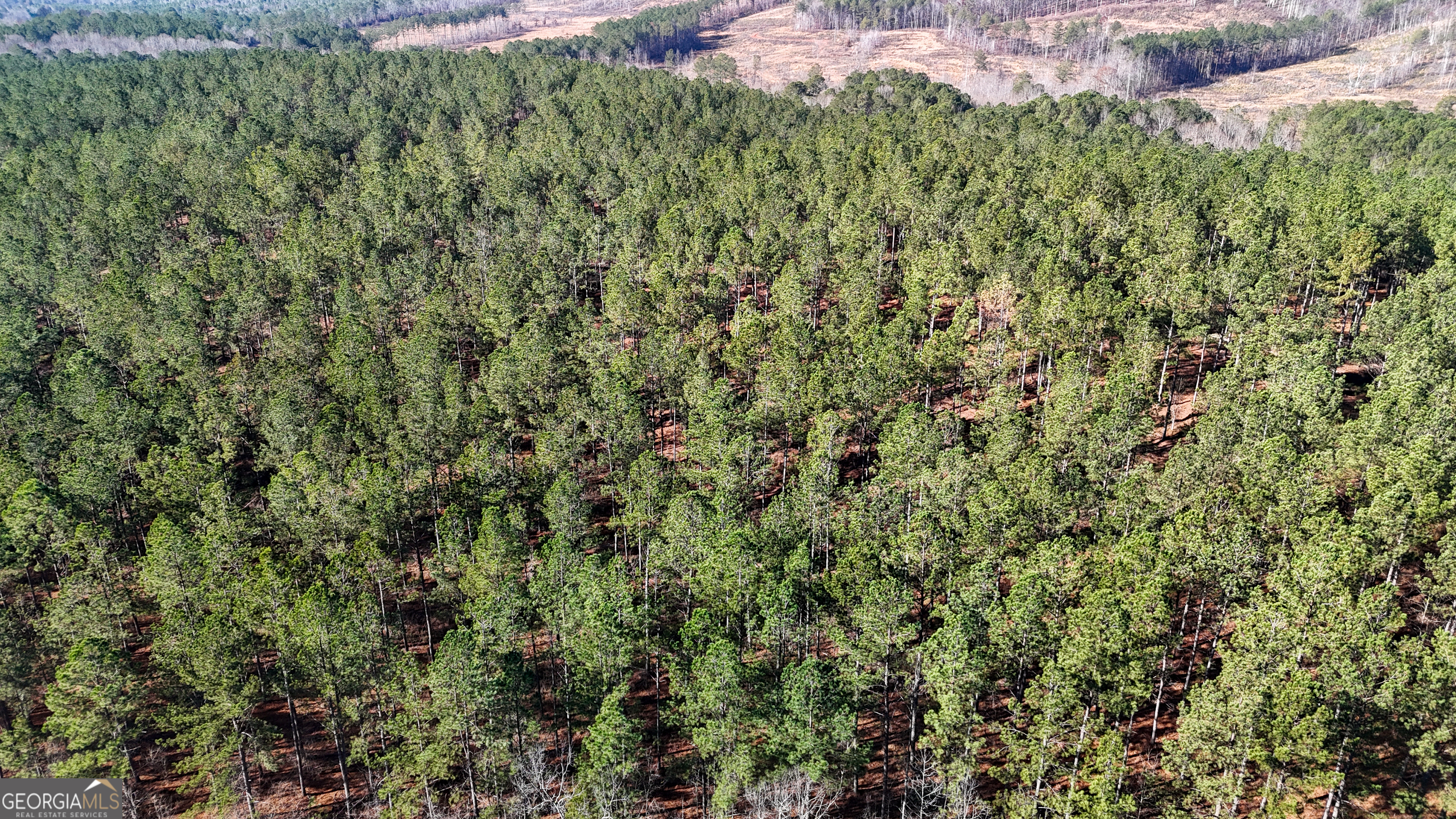 14 St Lyerly Ga 30730 Lyerly, GA 30730 - Photo 5 of 6