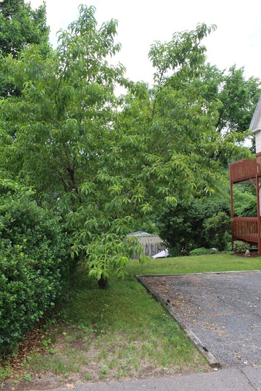 321 Woronoco Road Russell, MA 01071 - Photo 36 of 36 Gallery Image 36