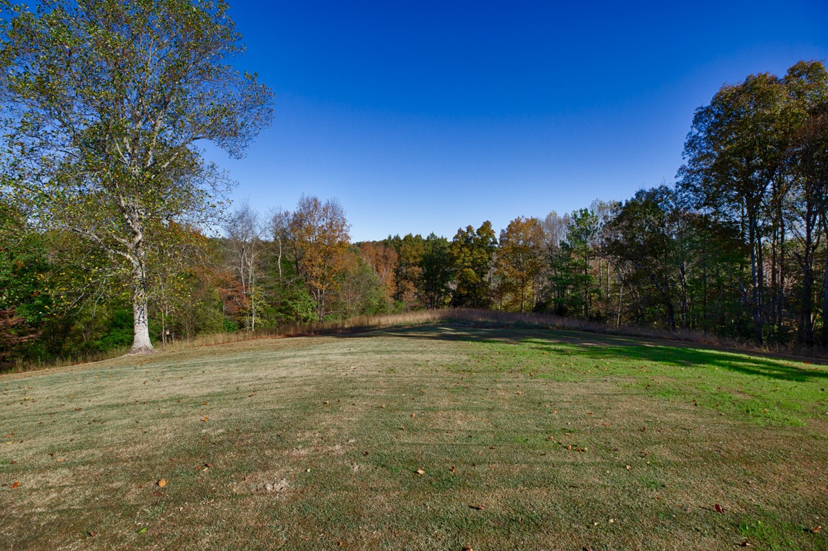 1997 Nancy Green Ridge Road Prospect, TN 38477 - Photo 5 of 25 a view of a field with trees in the background