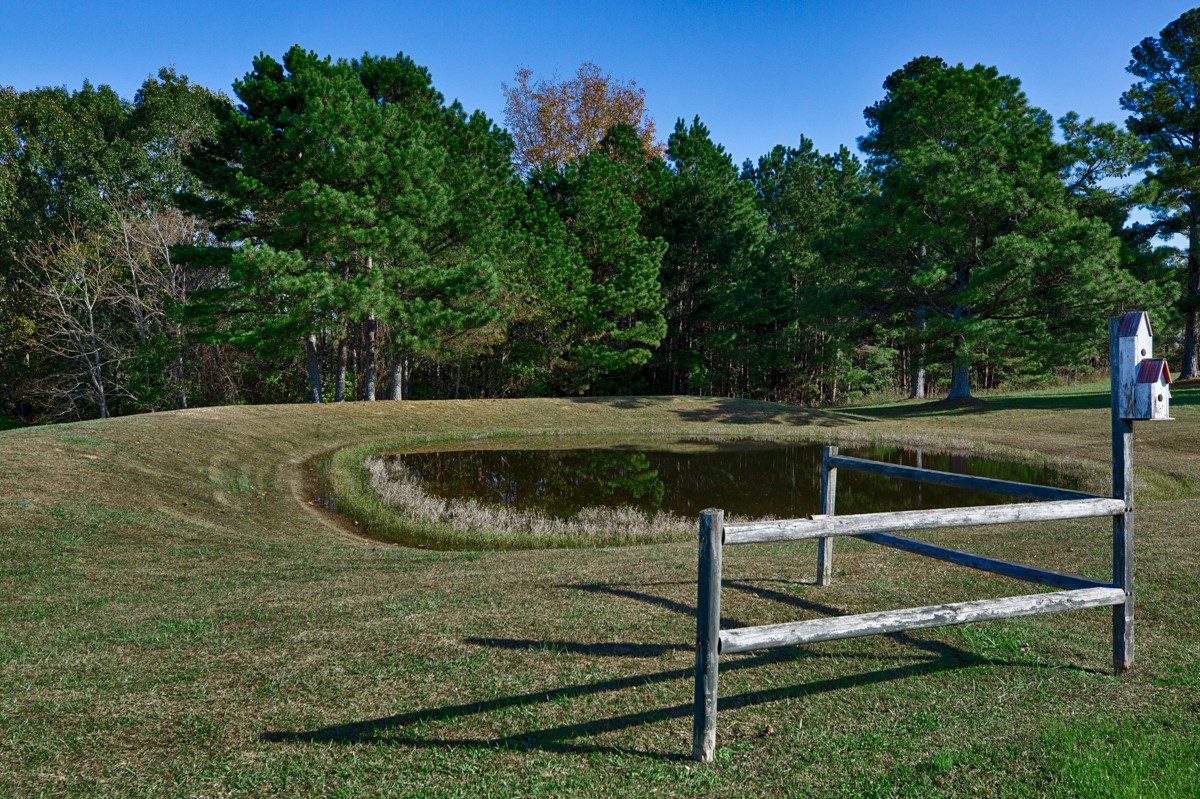 1997 Nancy Green Ridge Road Prospect, TN 38477 - Photo 6 of 25 a view of a backyard