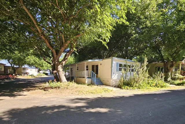 a white house that has a tree in front of it