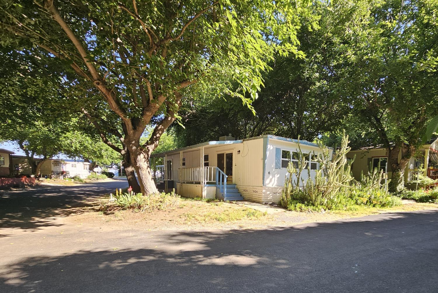 a white house that has a tree in front of it