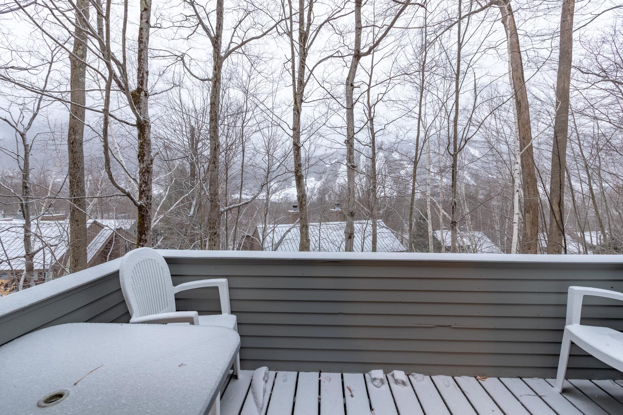 23 Hardwood Ridge Road, Unit 2 & 3 Lincoln, NH 03251 - Photo 1 of 1