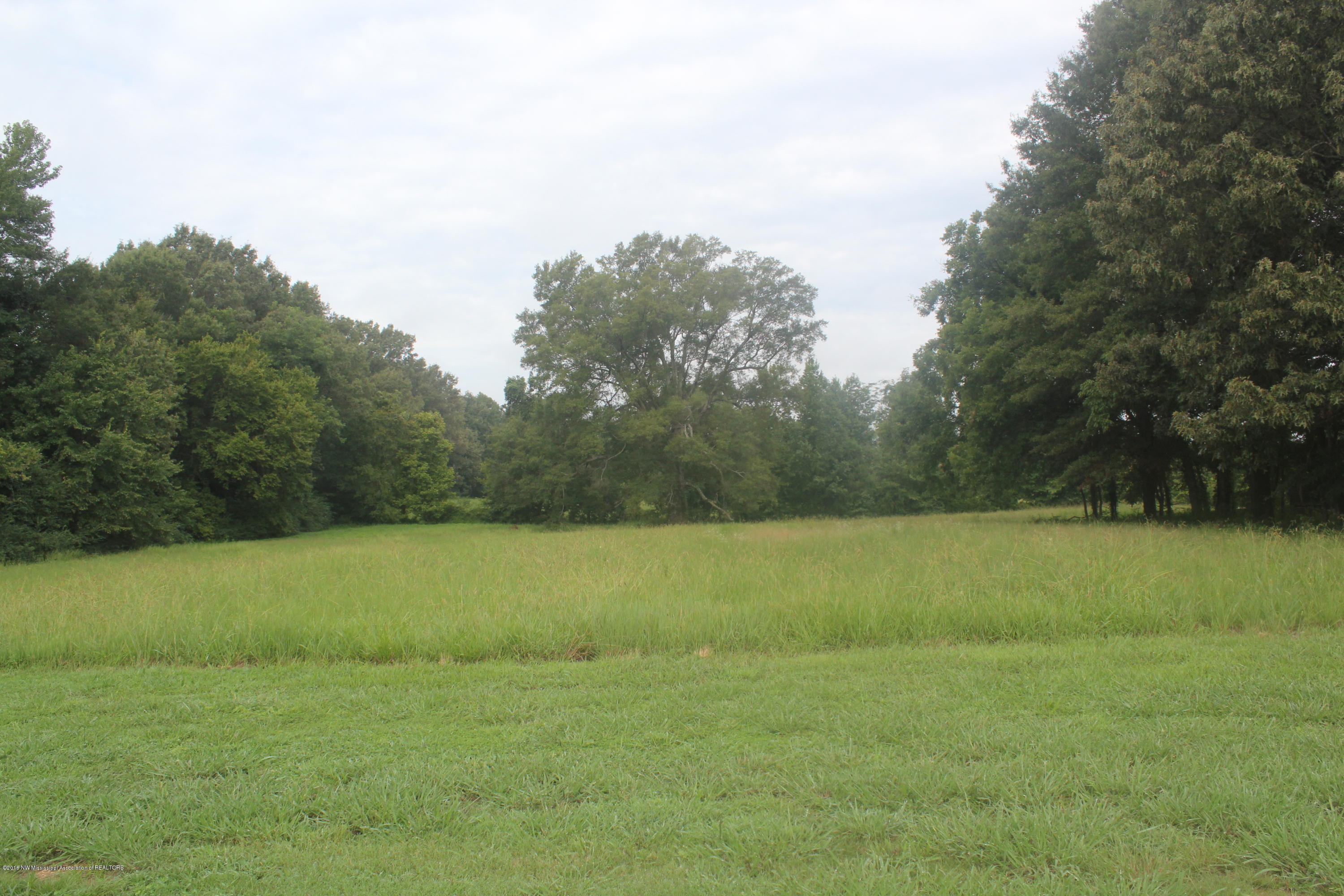 4035 Robertson Gin Road Hernando, MS 38632 - Photo 1 of 15 Primary Photo