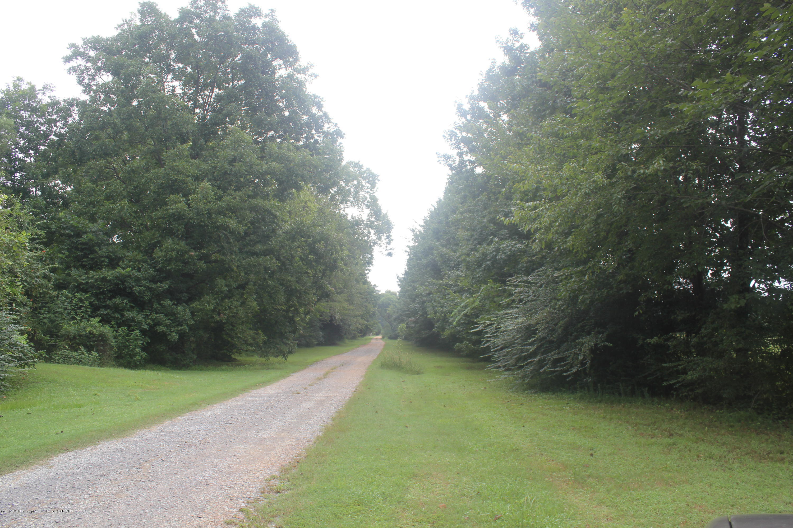 4035 Robertson Gin Road Hernando, MS 38632 - Photo 11 of 15 021
