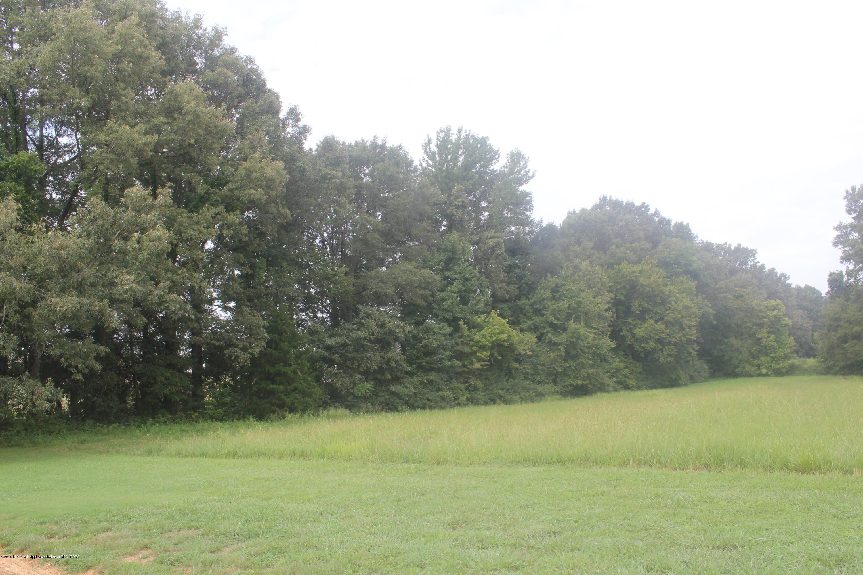 4035 Robertson Gin Road Hernando, MS 38632 - Photo 2 of 15 002