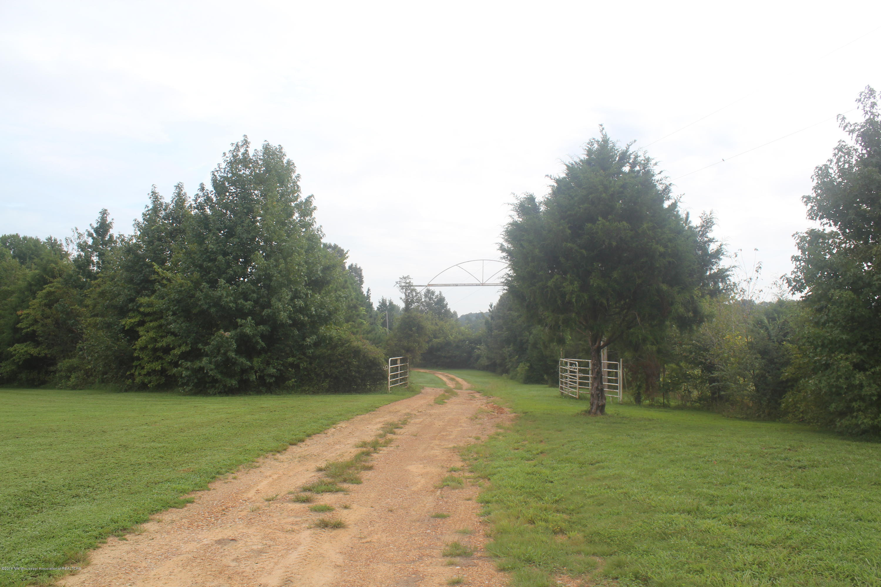 4035 Robertson Gin Road Hernando, MS 38632 - Photo 3 of 15 003