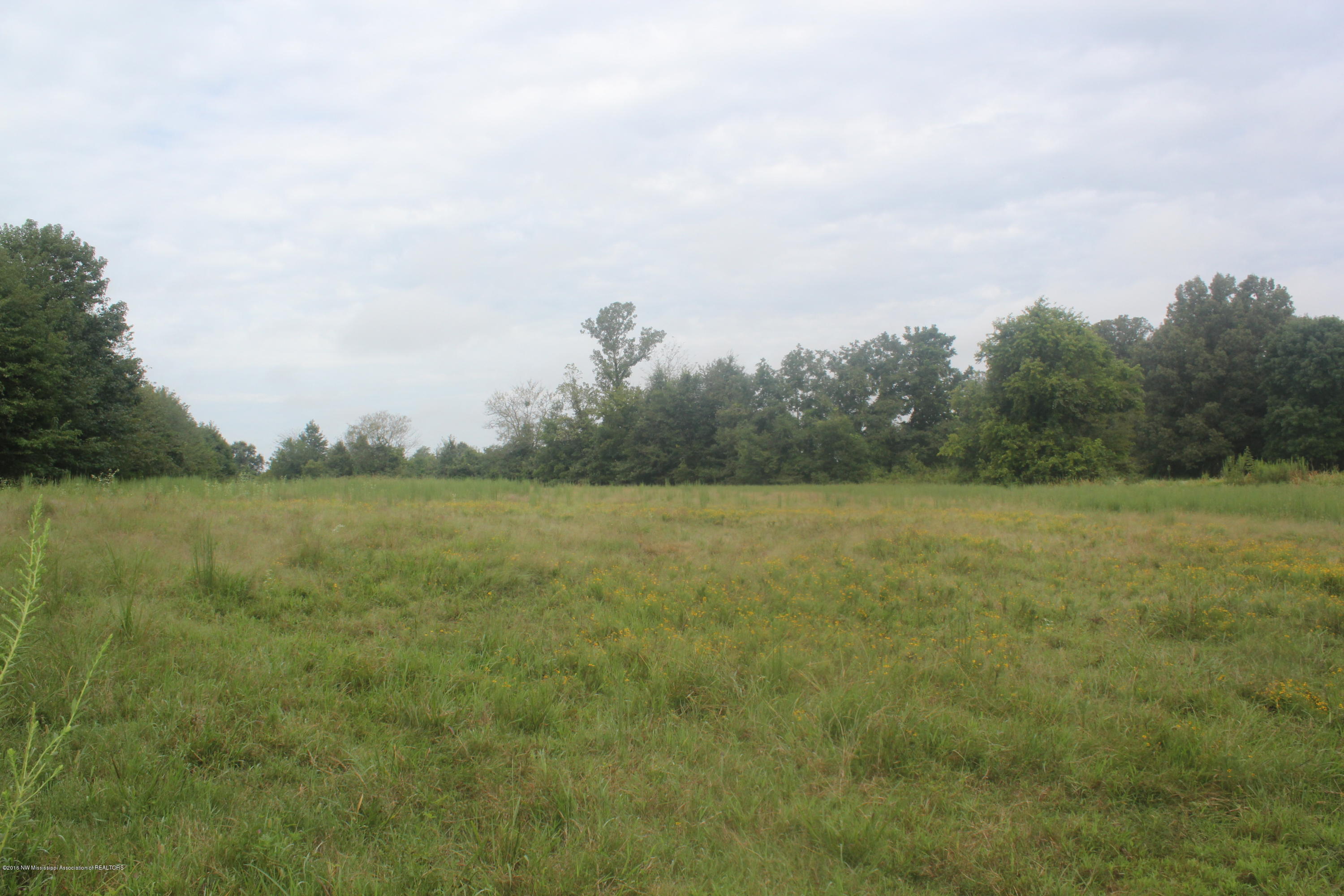 4035 Robertson Gin Road Hernando, MS 38632 - Photo 4 of 15 004