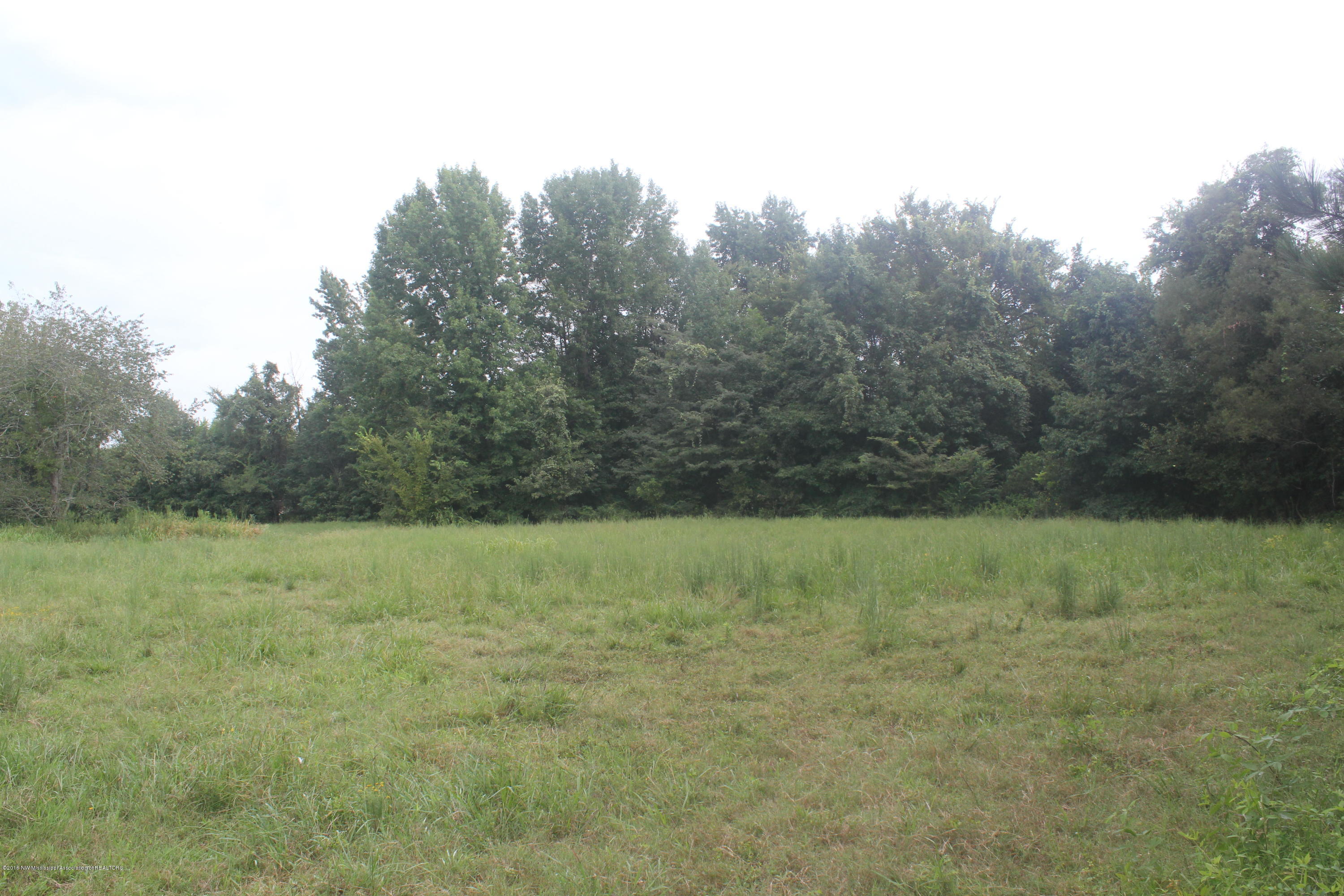 4035 Robertson Gin Road Hernando, MS 38632 - Photo 5 of 15 005