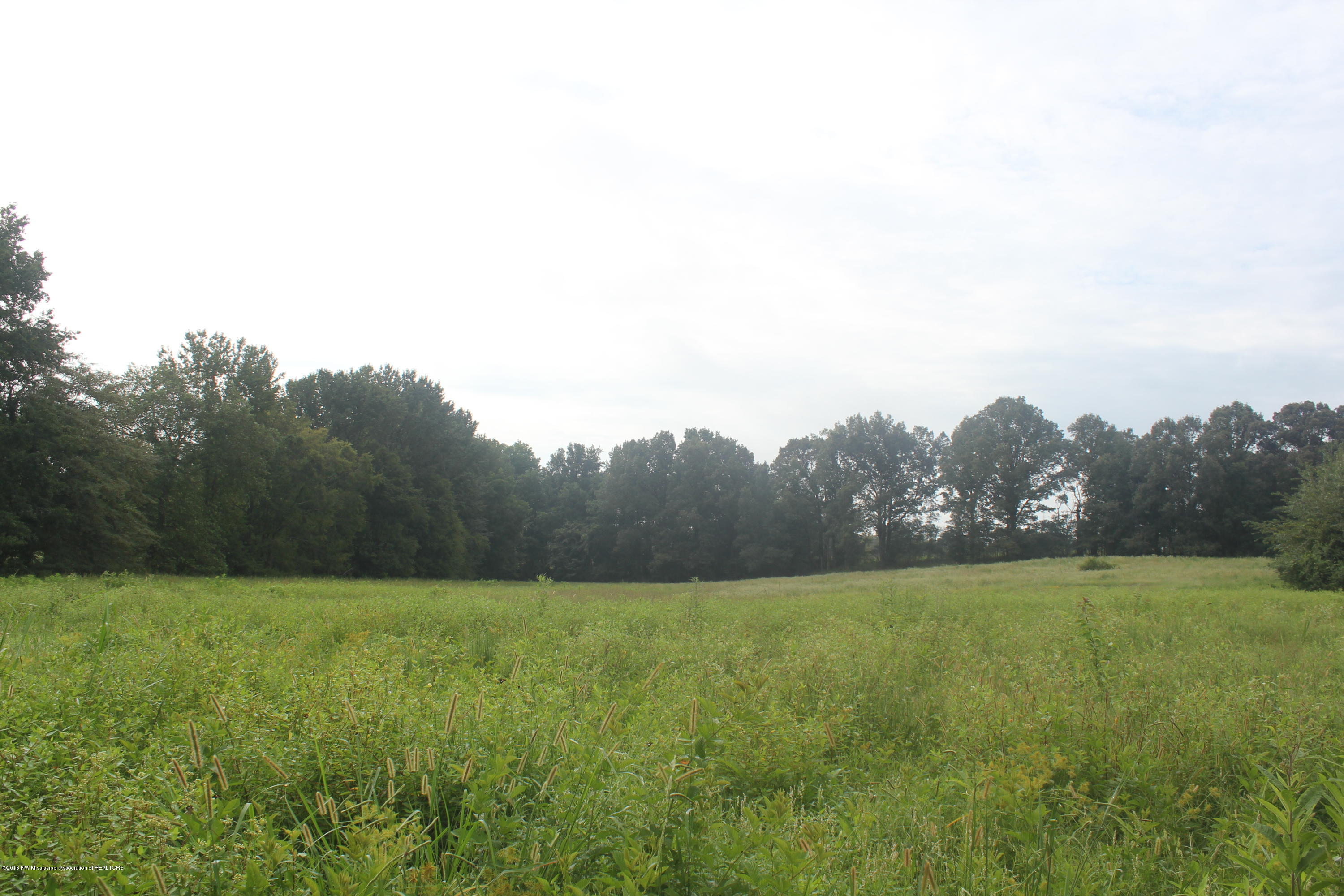 4035 Robertson Gin Road Hernando, MS 38632 - Photo 6 of 15 006