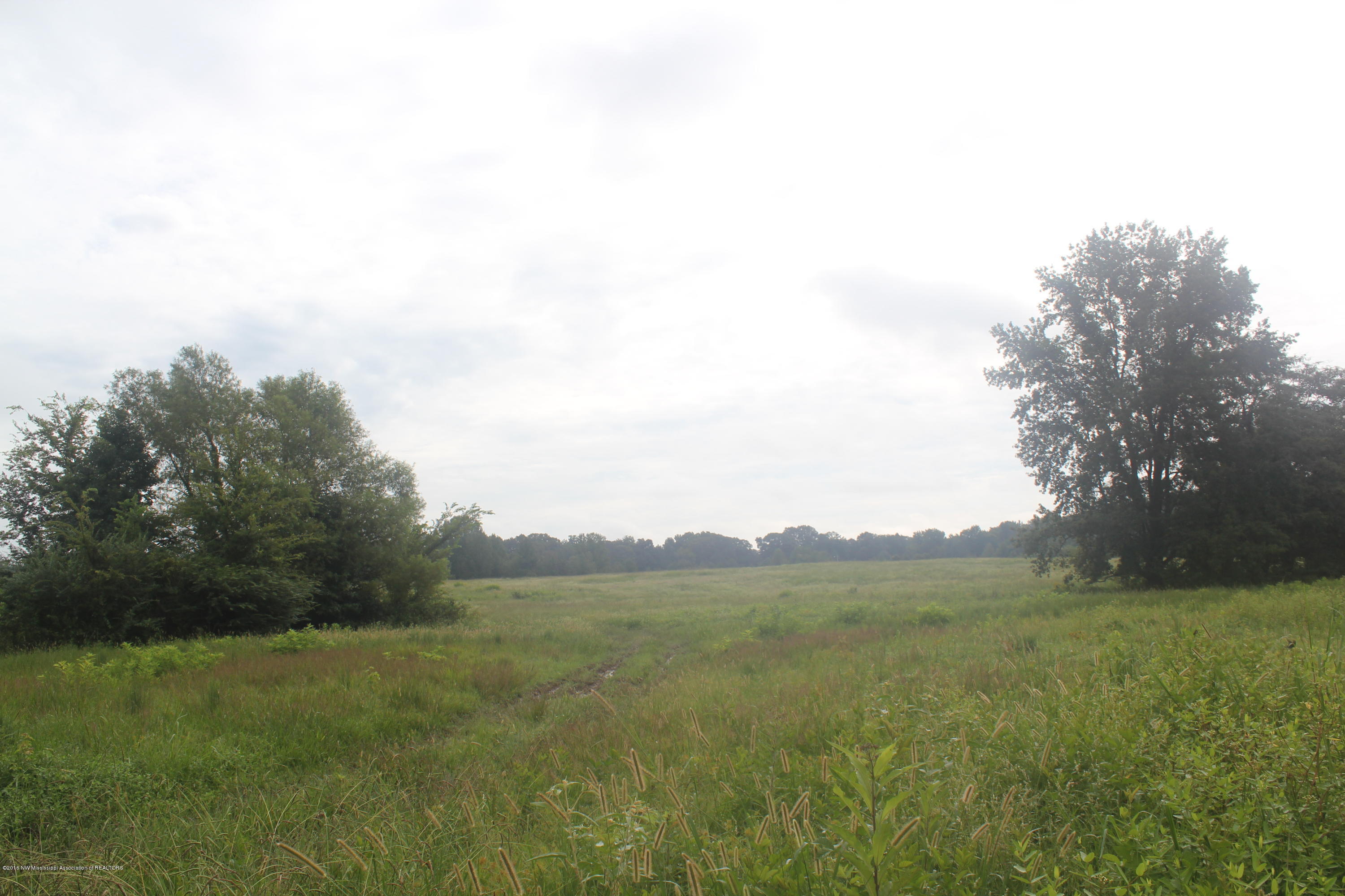 4035 Robertson Gin Road Hernando, MS 38632 - Photo 7 of 15 007