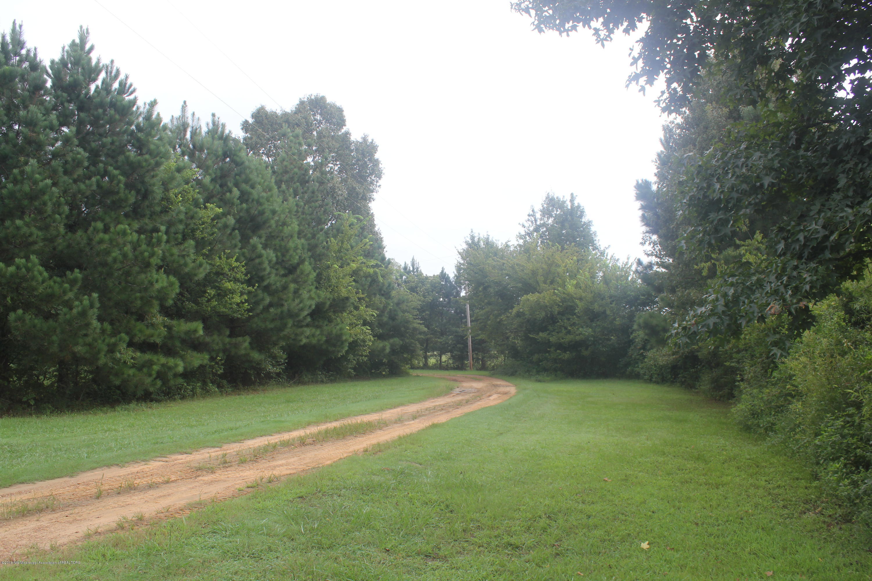 4035 Robertson Gin Road Hernando, MS 38632 - Photo 8 of 15 008