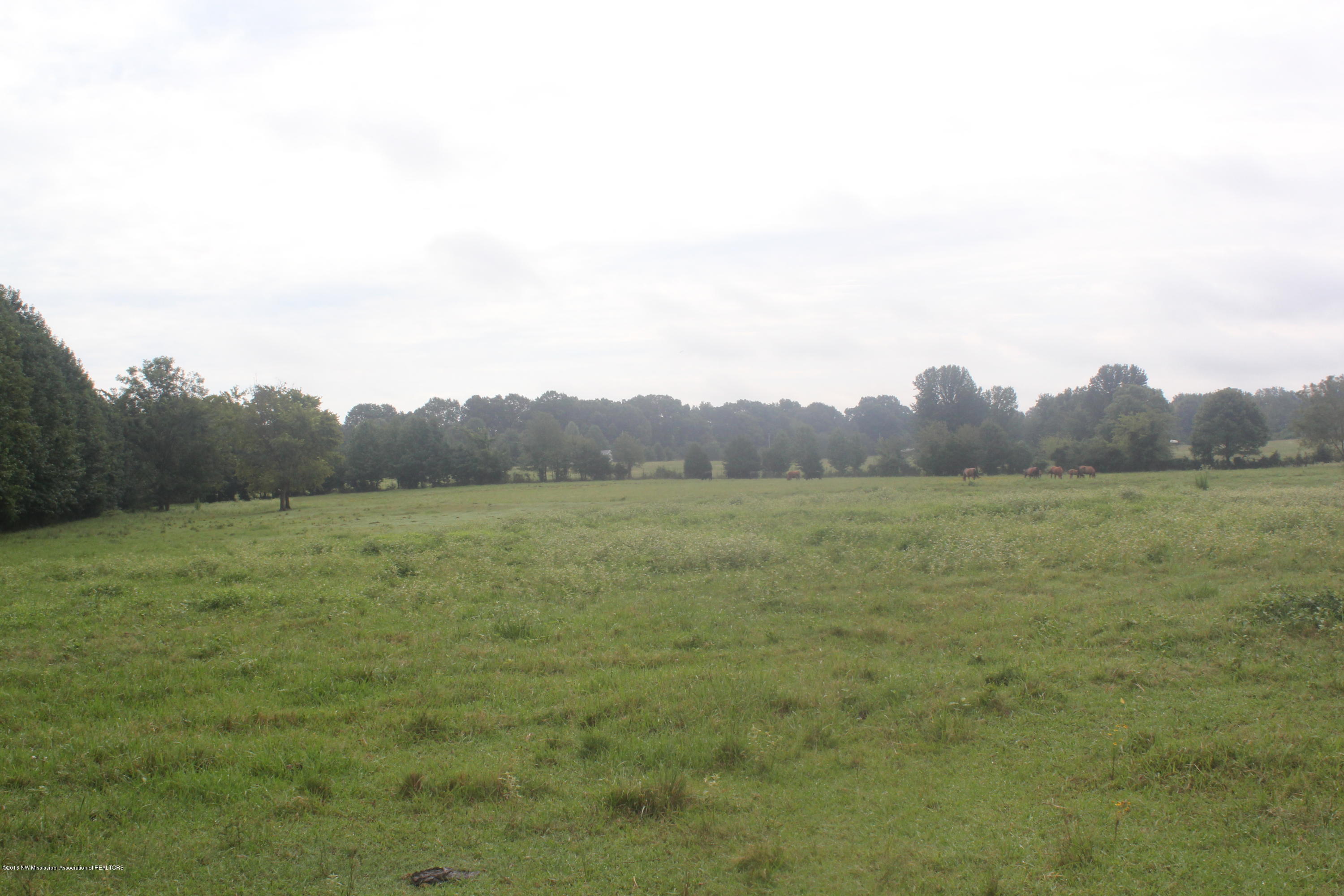 4035 Robertson Gin Road Hernando, MS 38632 - Photo 9 of 15 019