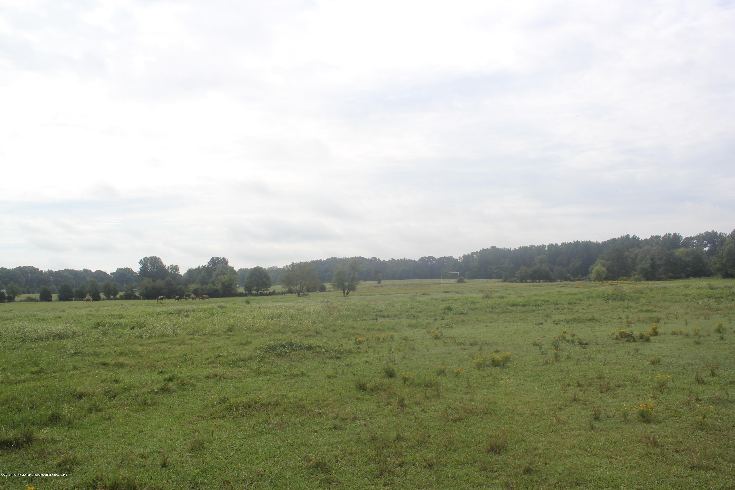 4035 Robertson Gin Road Hernando, MS 38632 - Photo 10 of 15 020