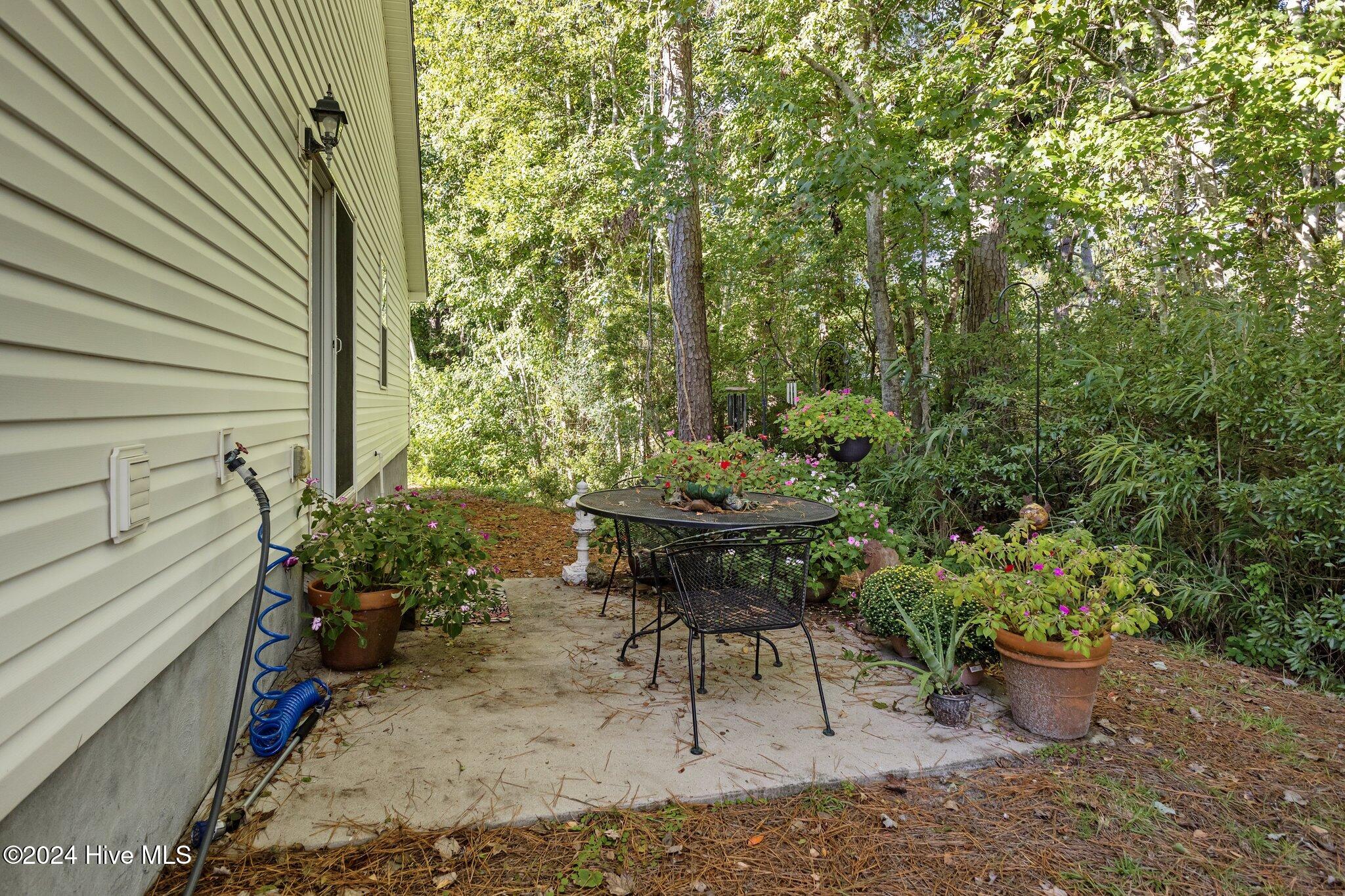 Patio is buffered by woods for privacy