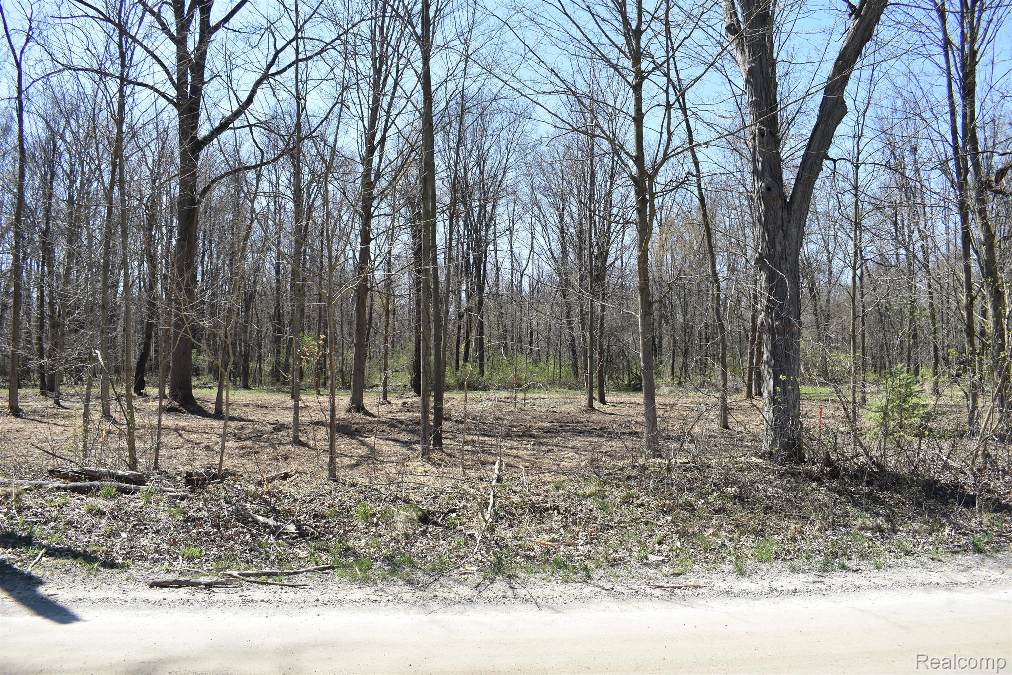 P-9 West P-9 W Allen Road Fowlerville, MI 48836 - Photo 3 of 3