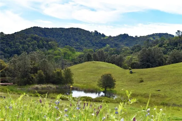 a view of a lake with a mountain in the background