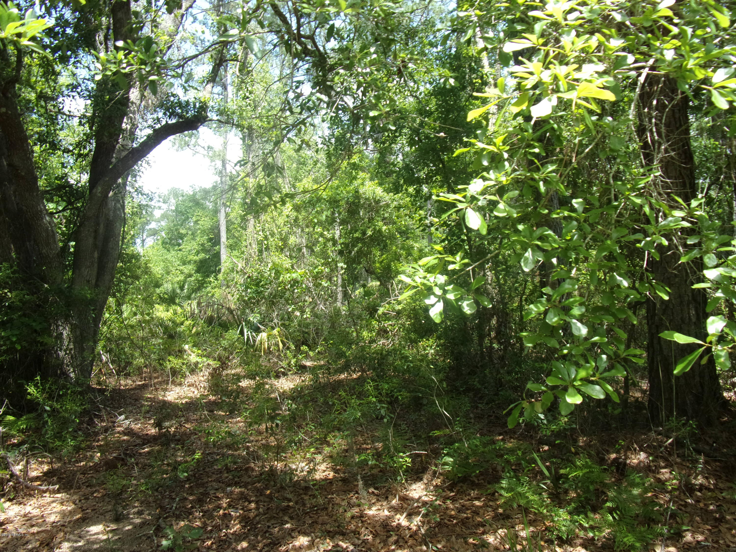 116 Ivey Road San Mateo, FL 32187 - Photo 1 of 13 010