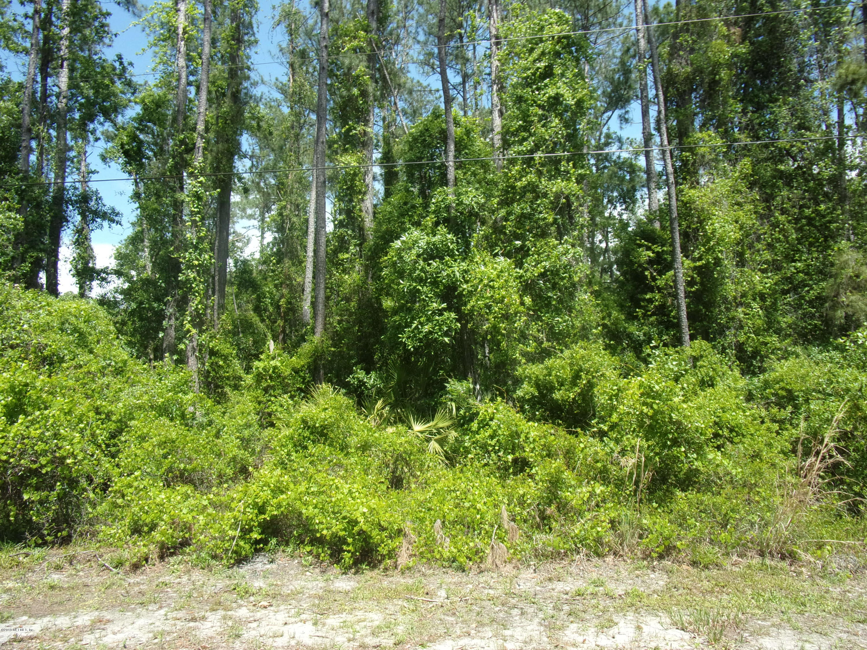 116 Ivey Road San Mateo, FL 32187 - Photo 6 of 13 005