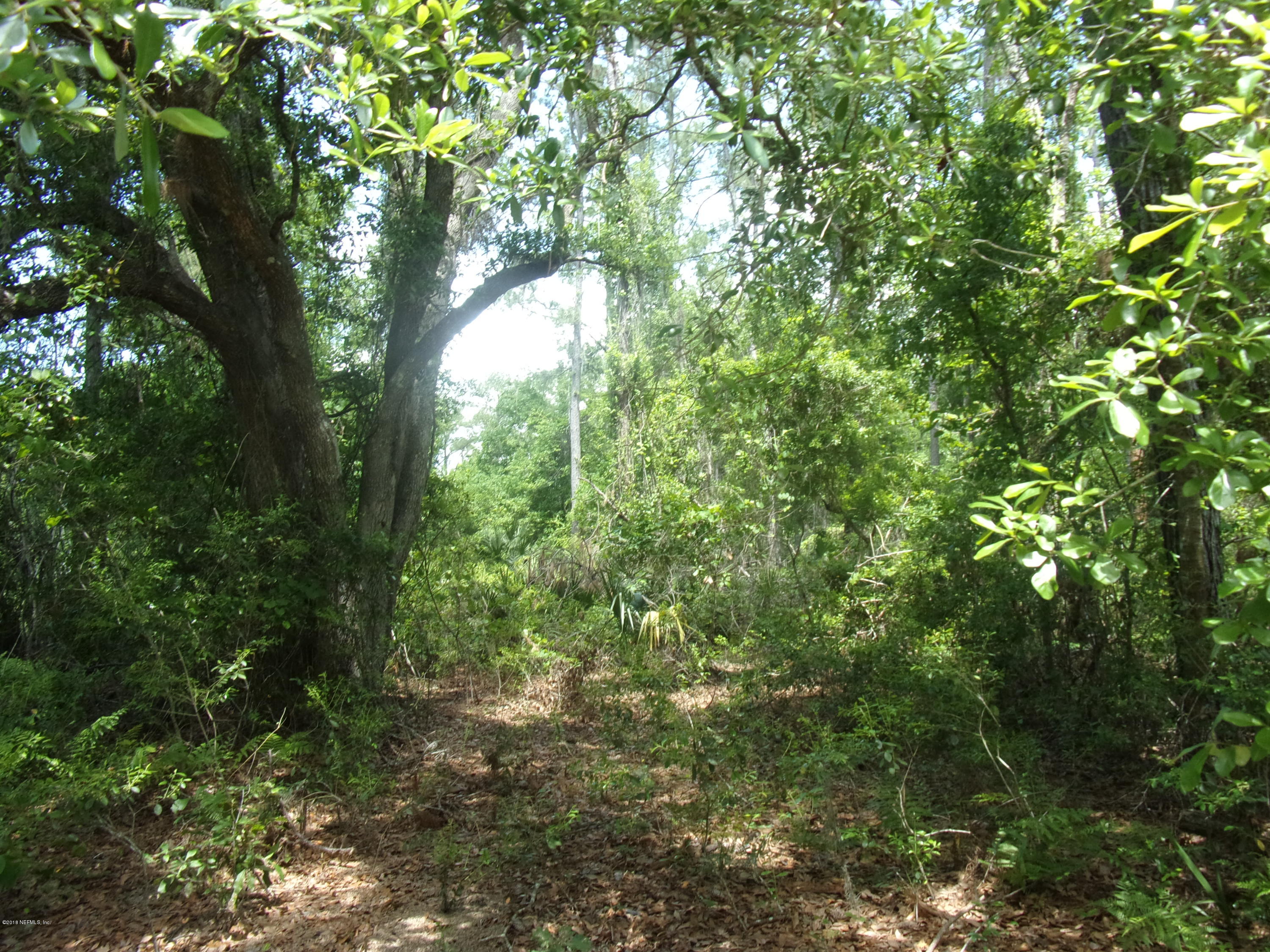 116 Ivey Road San Mateo, FL 32187 - Photo 10 of 13 009