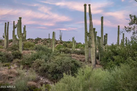 $1,900,000 | 41927 North Saguaro Forest Drive, Unit 107, Scottsdale, AZ 85262