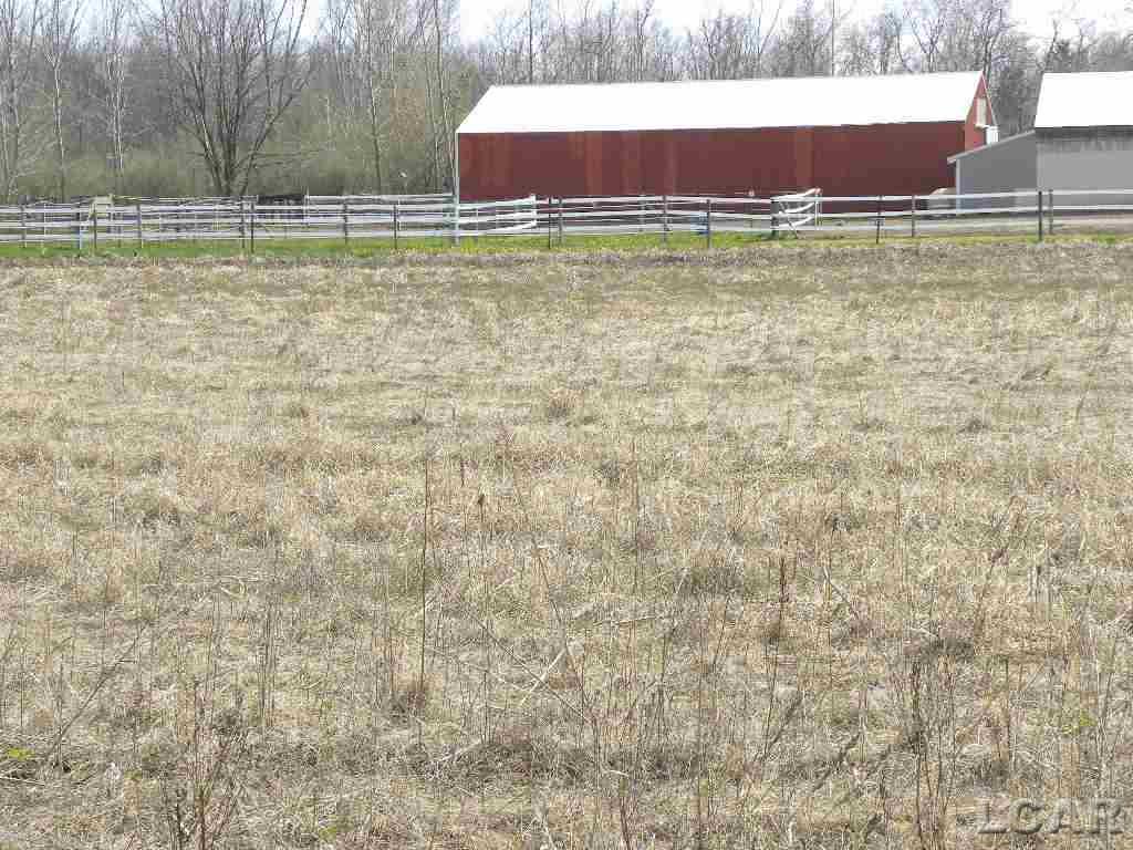 4300-blk Rauch Road Petersburg, MI 49270 - Photo 2 of 3